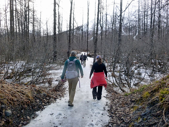 01895e_770bf2648e5347178252b5faf60cd01c_mv2 a woman walking down a snow covered forest