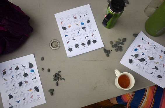 a group of items on a table a group of items on a table