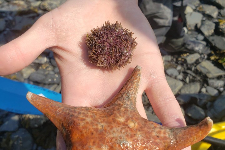 a close up of a hand