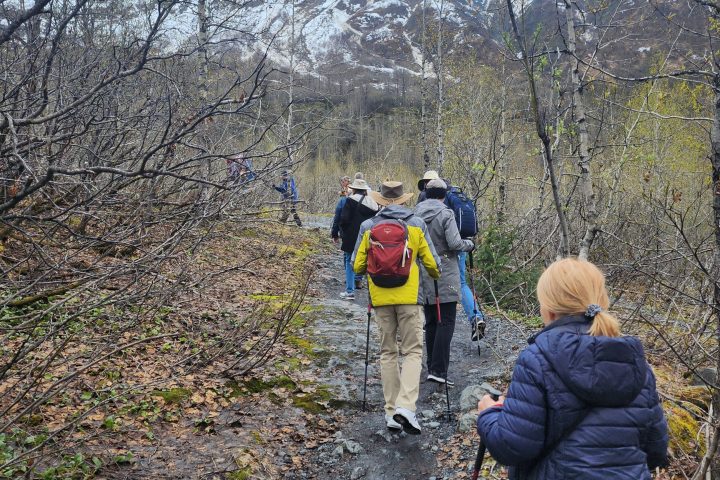 a group of people standing next to a tree