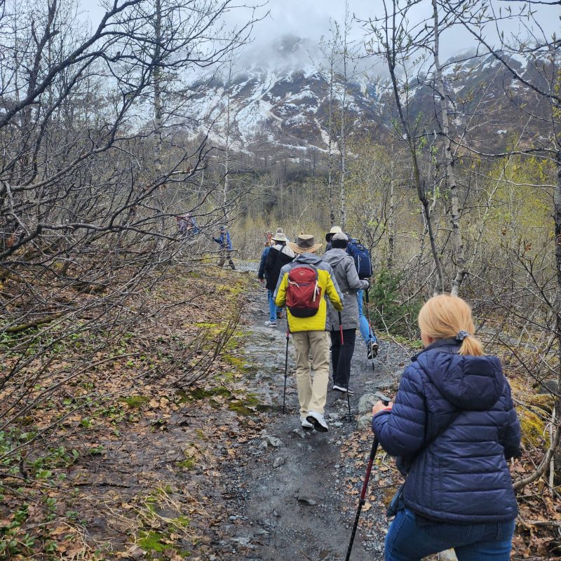 a group of people standing next to a tree