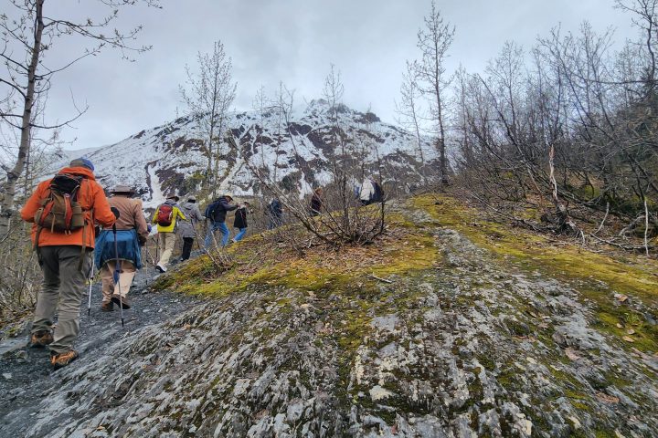a group of people walking in the snow