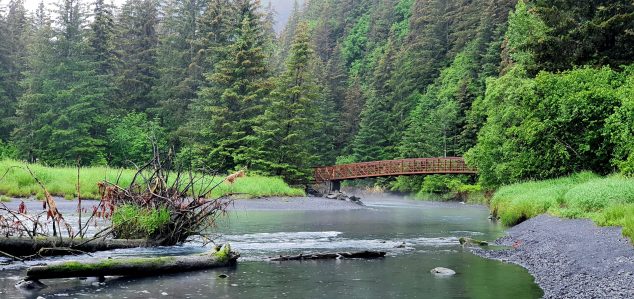 a bridge over a body of water surrounded by trees