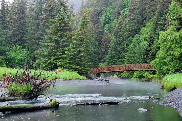 a bridge over a body of water surrounded by trees