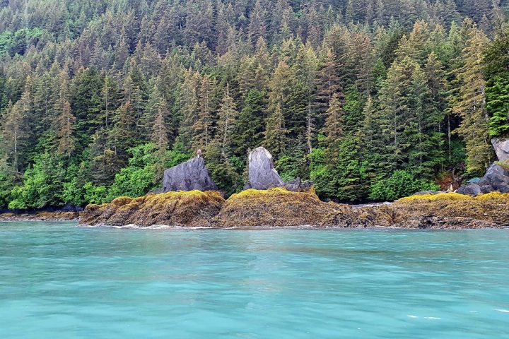 a body of water with a mountain in the background