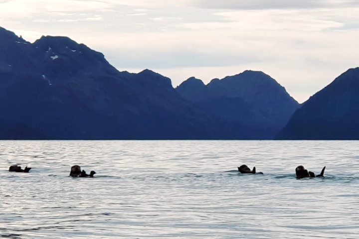 a body of water with a mountain in the background
