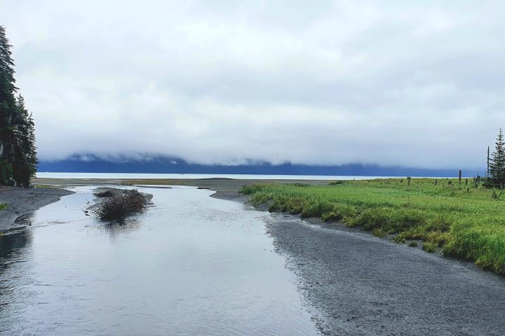 a body of water with trees on the side of a road