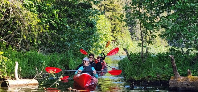 a raft on top of a grass covered field