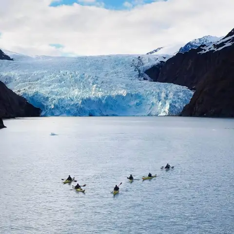 a flock of seagulls perched on top of a snow covered mountain