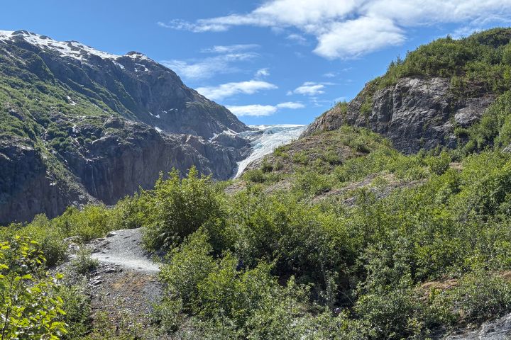 Pathway through lush greenery with distant glacier and blue sky above.