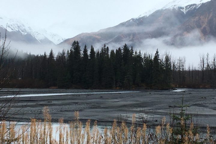 a herd of sheep standing on top of a snow covered mountain