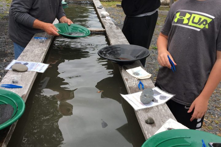 a group of people standing on top of a cutting board with a cake