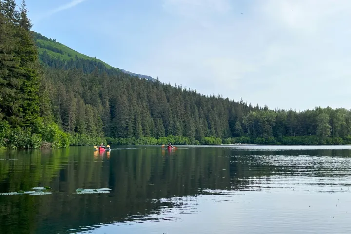 a lake surrounded by green trees and a body of water