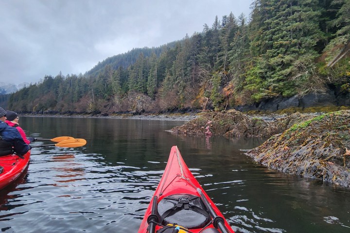 Two red kayaks on calm water with forested shoreline and snow-capped mountains in the distance.