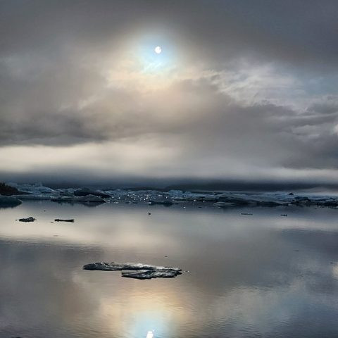 a flock of birds flying over a body of water
