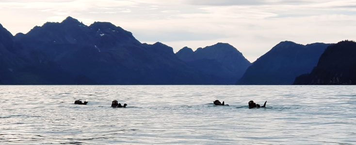 a body of water with a mountain in the background