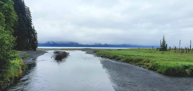 a body of water with trees on the side of a road