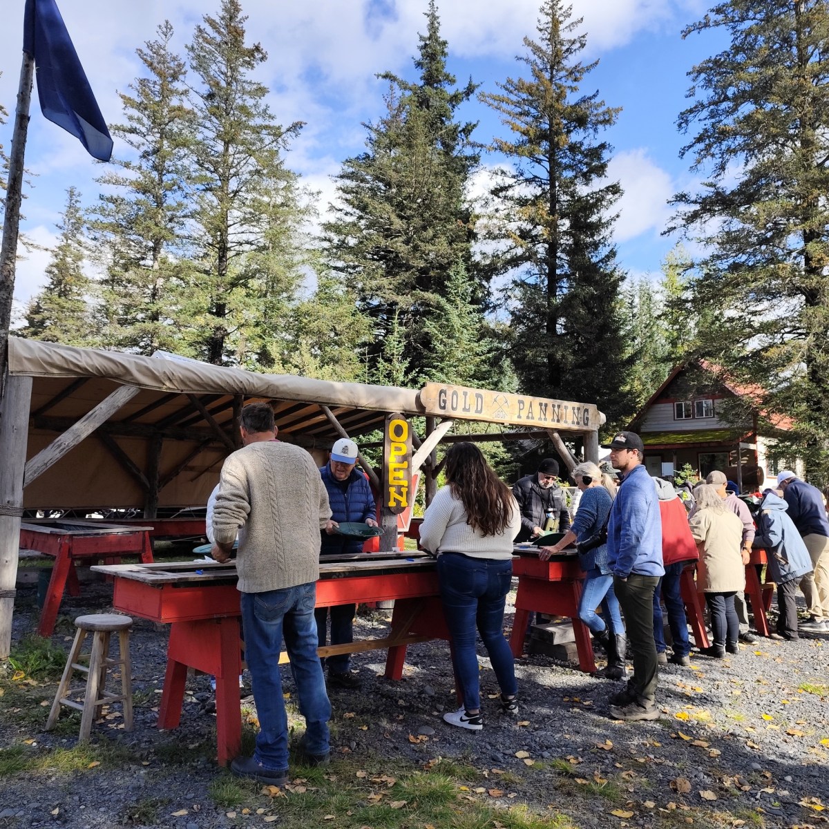 a group of people standing next to a tree