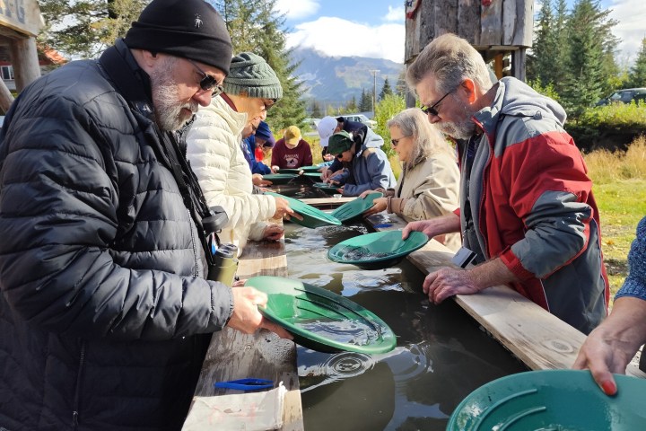 a group of people in a park