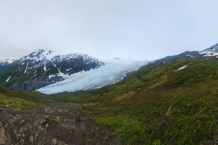a close up of a hillside next to a mountain