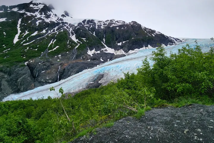 a close up of a hillside next to a mountain