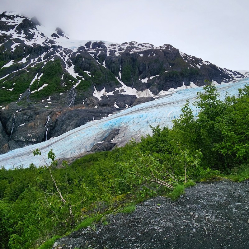 a close up of a hillside next to a mountain