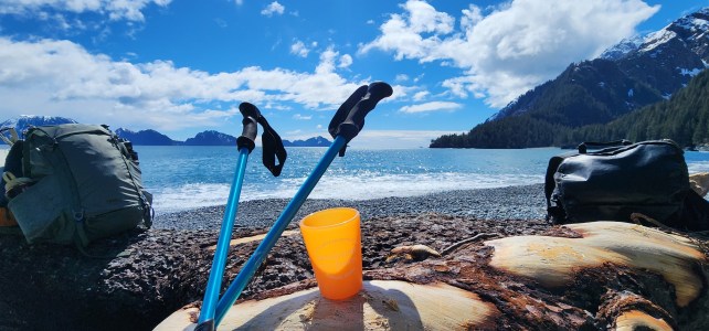 Backpacks, hiking poles, and a cup on a log by the sea with mountains in the background.