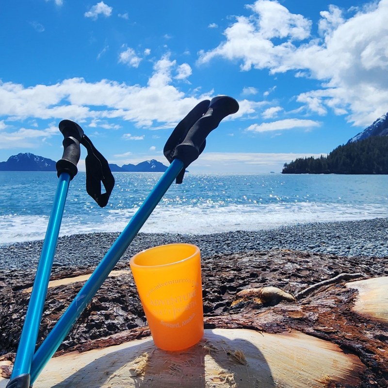 Backpacks, hiking poles, and a cup on a log by the sea with mountains in the background.