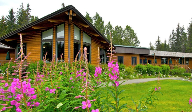 Log cabin with large windows surrounded by pink flowers and green grass.