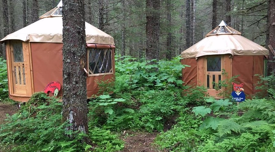 Two brown yurts in a forest, surrounded by trees and greenery.