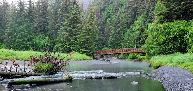 Wooden bridge over a river surrounded by dense evergreen forest.